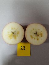 팜모닝 사과·일상 게시글 이미지