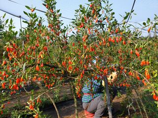 김태남님의 작성글 사진