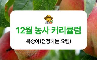 ๋ณต์ญ์ ๋์ฌ๋์ฐ๋ฏธ๋์ ๋ณต์ญ์ ยท ๋์ฌ๊ธธ์ก์ด ์์ฑ๊ธ ์ฌ์ง