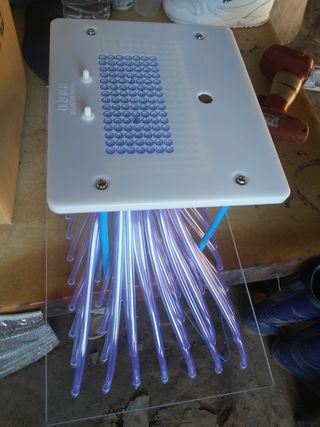 보미어르신님의 작성글 사진