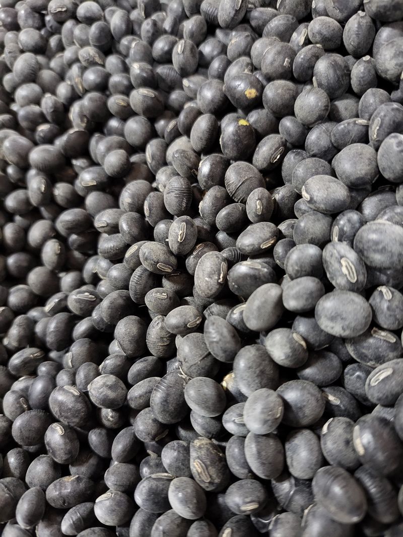 장터 상품 [콩(서리태)] 썸네일