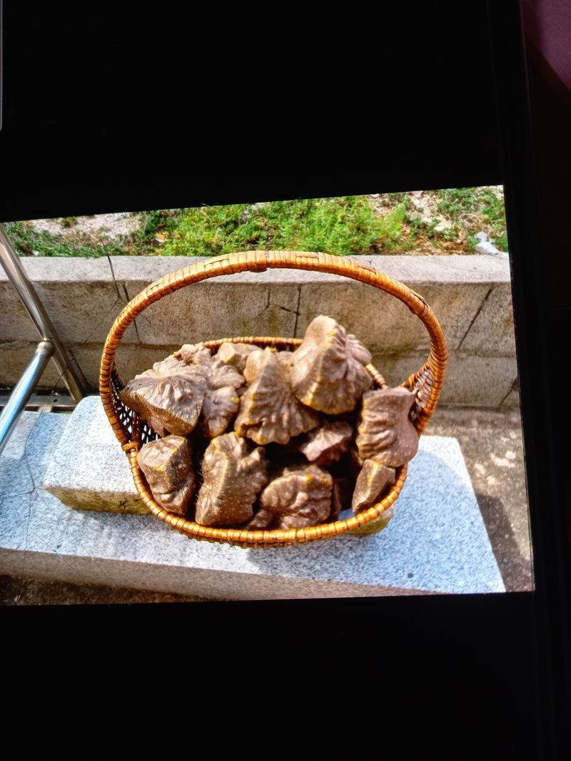 이종선님의 장터 판매 상품 [하늘마.열매마ㆍ] 첨부 사진