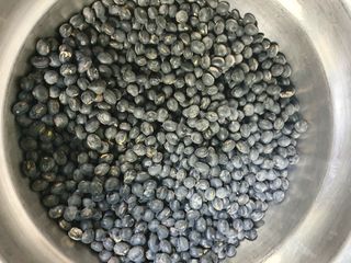 오미랑채님의 콩 · 자유게시판 작성글 사진