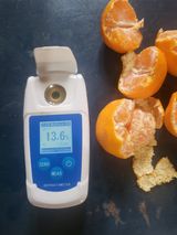 팜모닝 · 게시글 이미지