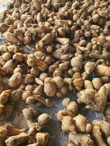 팜모닝 · 게시글 이미지