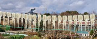 해안로님의 기타작물 · 자유게시판 작성글 사진