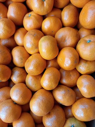 부금리(금강농원)님의 귤 · 일상 작성글 사진