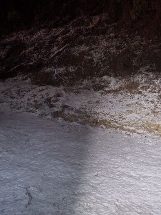 짱순이연속8월출석왕님의 상추 · 자유게시판 작성글 사진