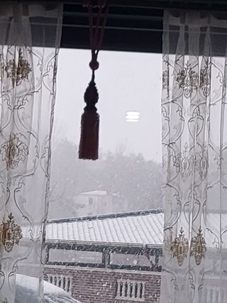 짱순이연속8월출석왕님의 상추 · 자유게시판 작성글 사진