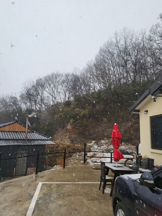 짱순이연속8월출석왕님의 상추 · 자유게시판 작성글 사진