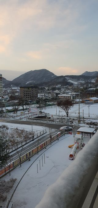 김진영님의 감 · 자유게시판 작성글 사진