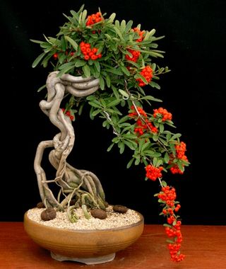 김주용님의 기타작물 · 자유게시판 작성글 사진