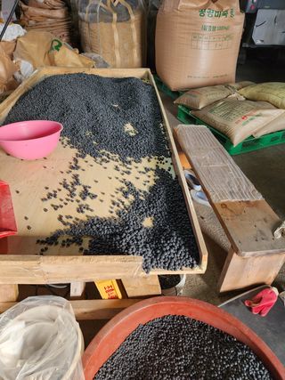 노지섭님의 콩 · 자유게시판 작성글 사진