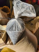 팜모닝 콩·자유게시판 게시글 이미지