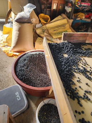 노지섭님의 작성글 사진