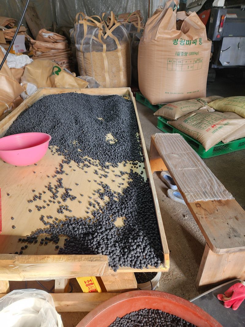 장터 상품 [서리태 새바람 종자용 식용 속이 파랗습니다 1kg당 ] 썸네일