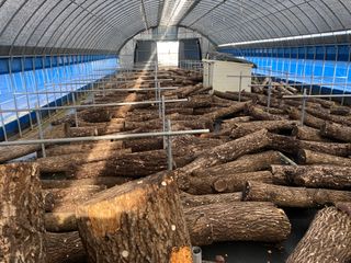 구희창님의 버섯 · 생장기 농작업 작성글 사진