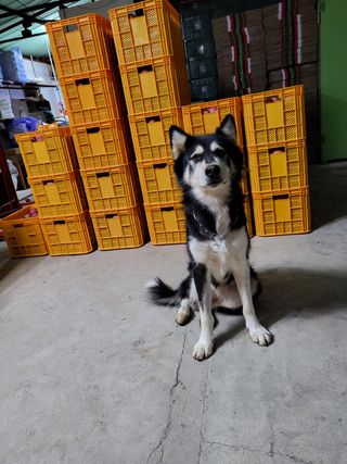 하늘아래사과나무님의 사과 · 일상 작성글 사진