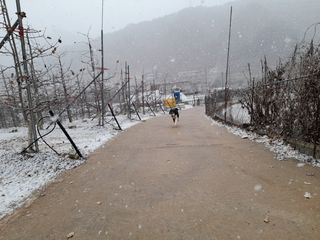 하늘아래사과나무님의 사과 · 일상 작성글 사진