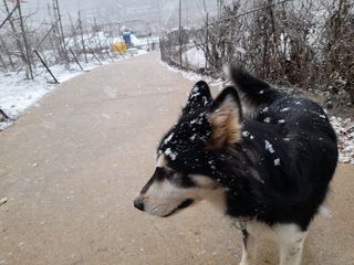 하늘아래사과나무님의 사과 · 일상 작성글 사진