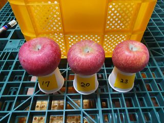 이훈희님의 사과 · 시세•판로 작성글 사진