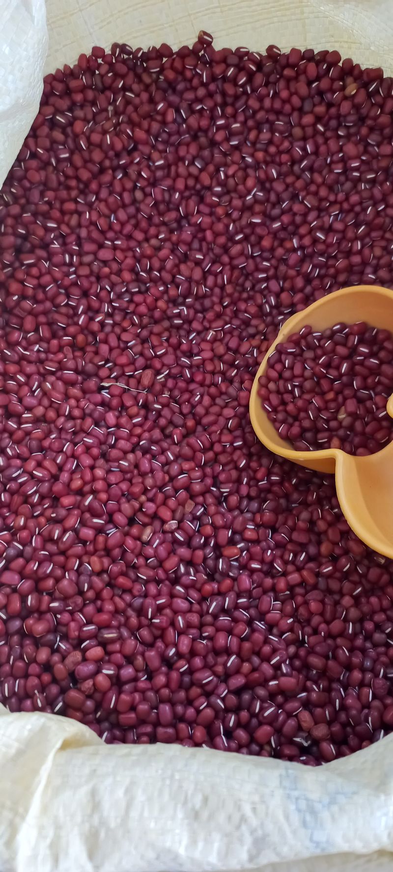 장터 상품 [적두  (팥)] 썸네일