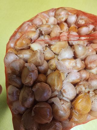 Preotu님의 기타작물 · 자유게시판 작성글 사진