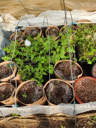 Preotu님의 기타작물 · 자유게시판 작성글 사진