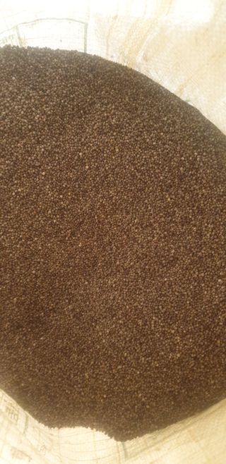 이종록님의 들깨 · 자유게시판 작성글 사진