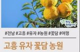팜모닝 귤·병해충상담 게시글 이미지