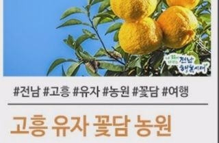 꽃담 농원님의 귤 · 병해충상담 작성글 사진