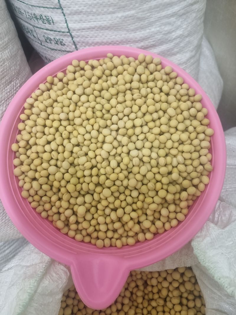 Sky님의 장터 판매 상품 [백태  200kg] 첨부 사진