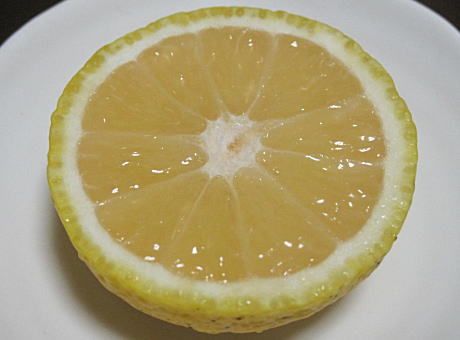 마짱님의 장터 판매 상품 [씨없는유자차2kg] 첨부 사진