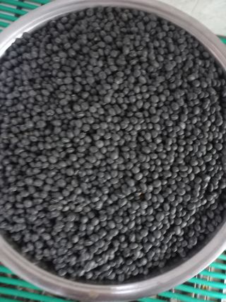 조정옥님의 콩 · 자유게시판 작성글 사진