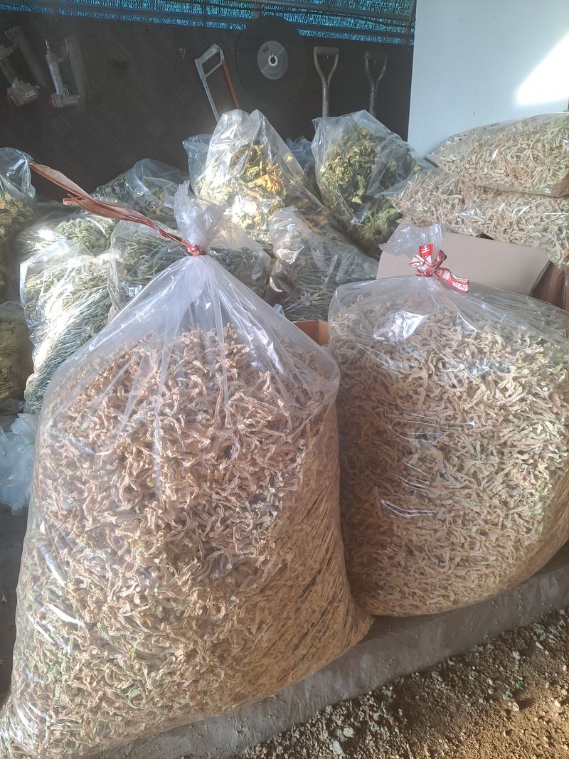 동원농장(영주달)님의 장터 판매 상품 [무우말랭이1kg] 첨부 사진