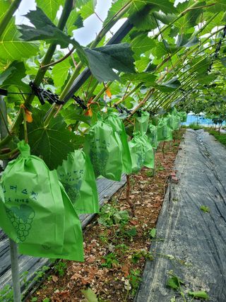 이원규님의 작성글 사진