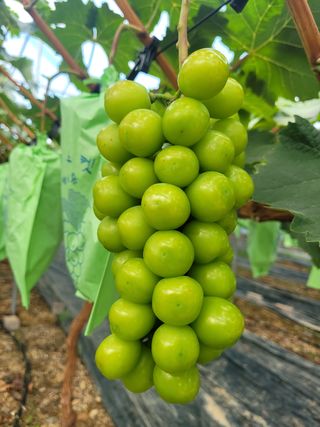 이원규님의 작성글 사진