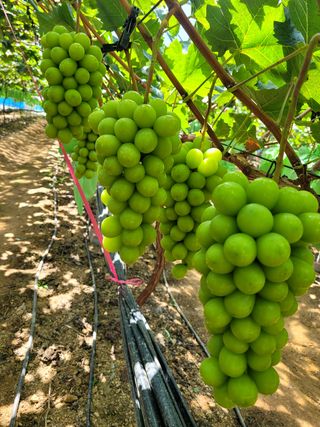 이원규님의 작성글 사진