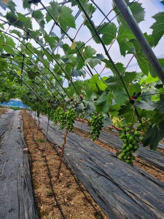 이원규님의 작성글 사진