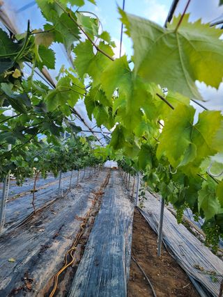 이원규님의 작성글 사진