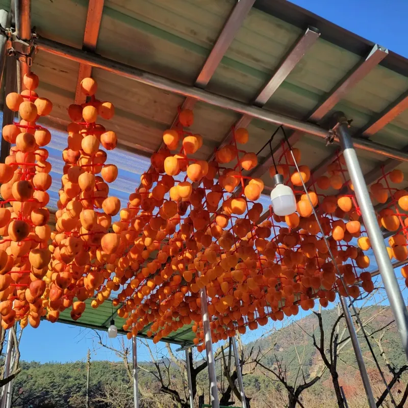 장터 상품 [자연건조 대봉곶감10개] 썸네일