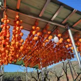 팜모닝 · 게시글 이미지