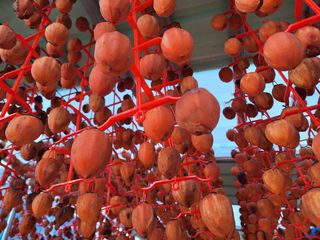 산골촌부님의 작성글 사진