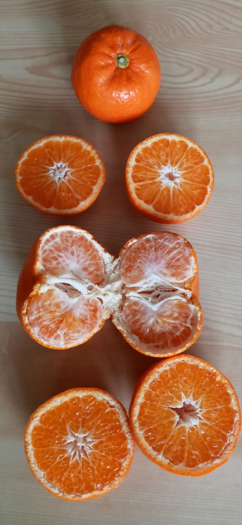 귤바람님의 장터 판매 상품 [상고귤10킬 택배] 첨부 사진