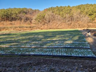 노고단님의 기타작물 · 자유게시판 작성글 사진