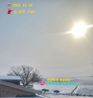 김주용님의 기타작물 · 자유게시판 작성글 사진