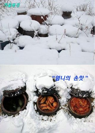 김주용님의 기타작물 · 자유게시판 작성글 사진