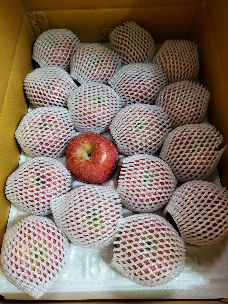 김주영님의 장터 판매 상품 [부사 사과 10kg ] 첨부 사진