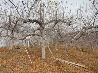 이훈희님의 사과 · 일상 작성글 사진