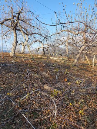 이훈희님의 사과 · 일상 작성글 사진